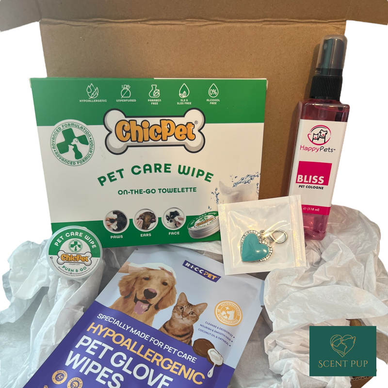 Subscription Box